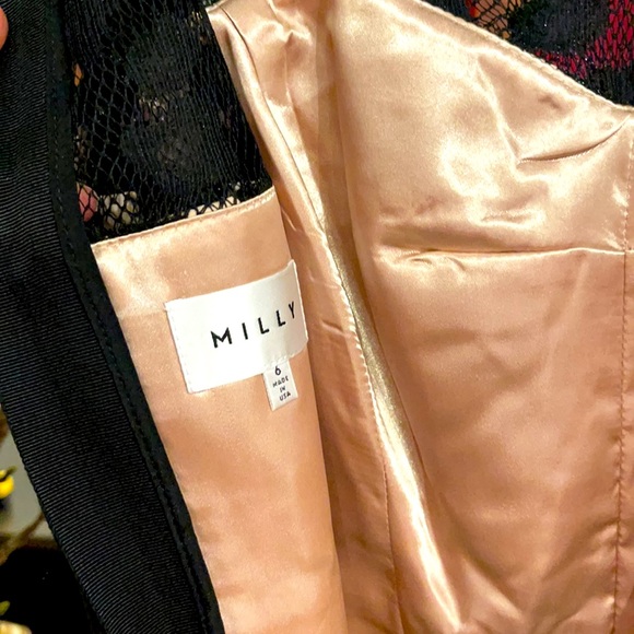 Milly Dress - Picture 5 of 7